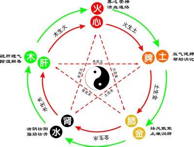 婉五行|婉字的五行属性